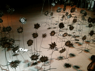 b0151059_1591697.gif
