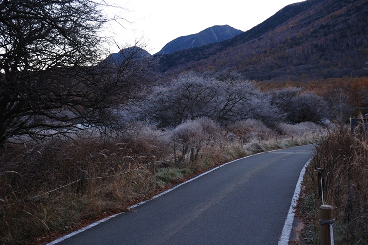 f0222161_21522435.jpg