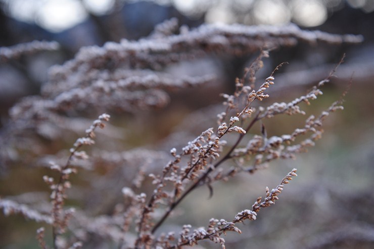 f0222161_21523919.jpg