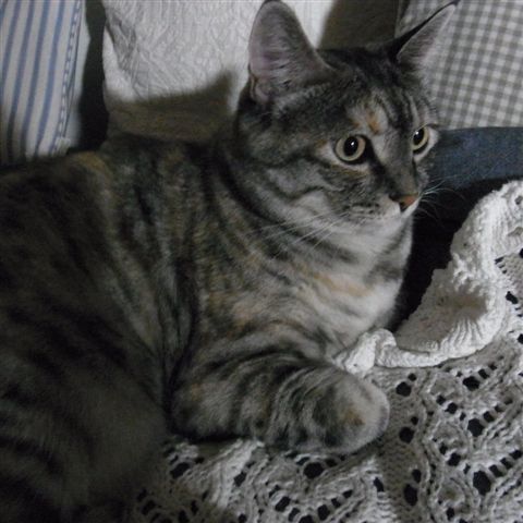 a0123465_047339.jpg