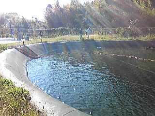 a0096669_2139062.jpg