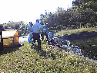 a0096669_2139184.jpg