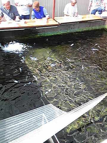 a0096669_2139475.jpg