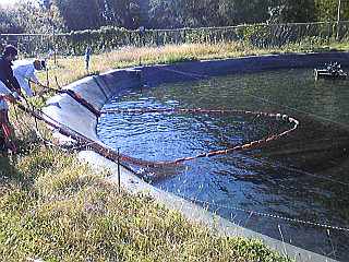 a0096669_2139971.jpg