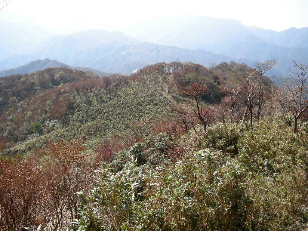 b0185573_813998.jpg