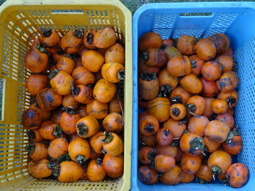 f0231573_18421240.jpg
