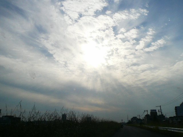 d0147774_1871953.jpg