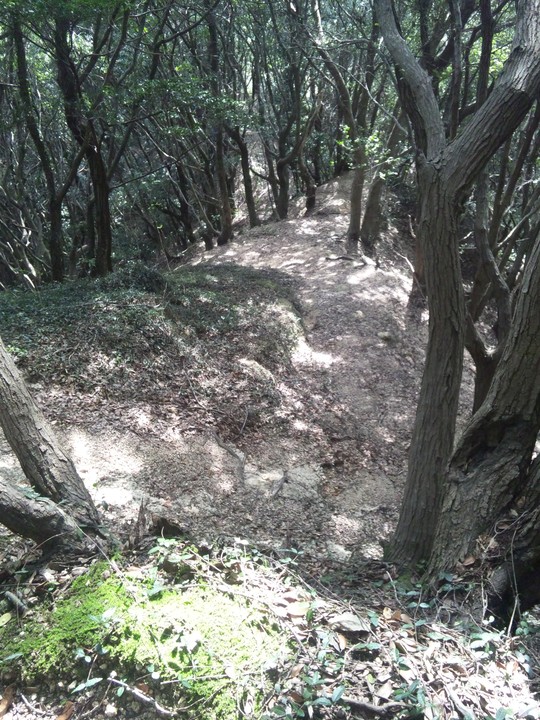 e0024081_1522590.jpg