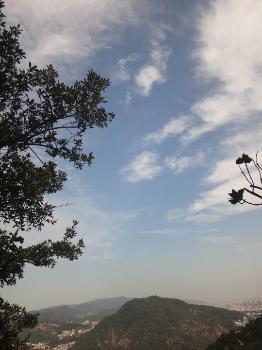 e0024081_1534293.jpg