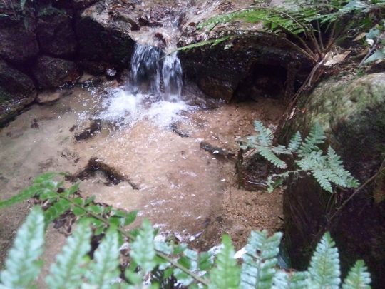 e0024081_1542888.jpg