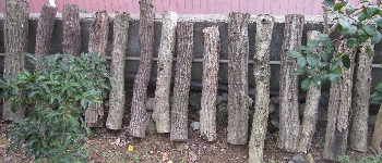 f0003283_919624.jpg