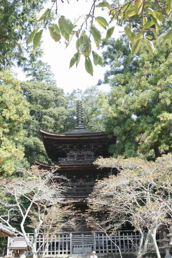 b0118987_104823.jpg
