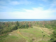 f0131491_13415100.jpg
