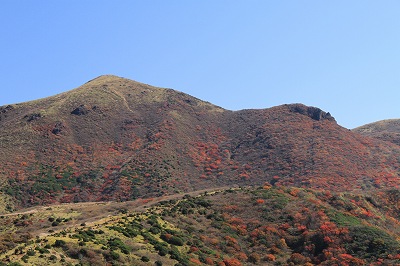 a0222494_1631325.jpg