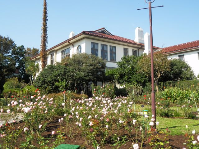 f0130894_21384168.jpg