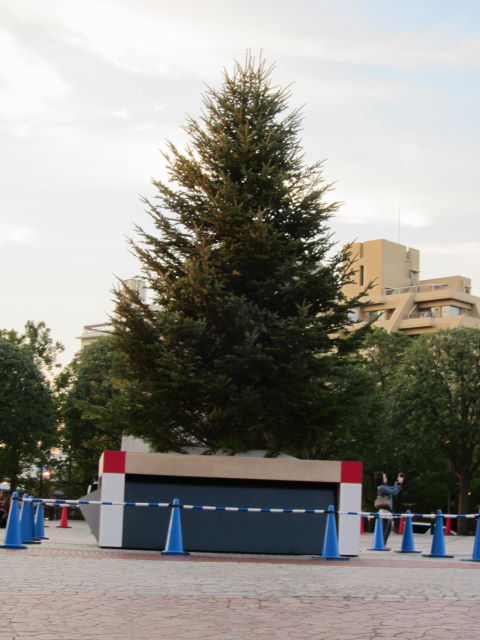d0098295_21222455.jpg
