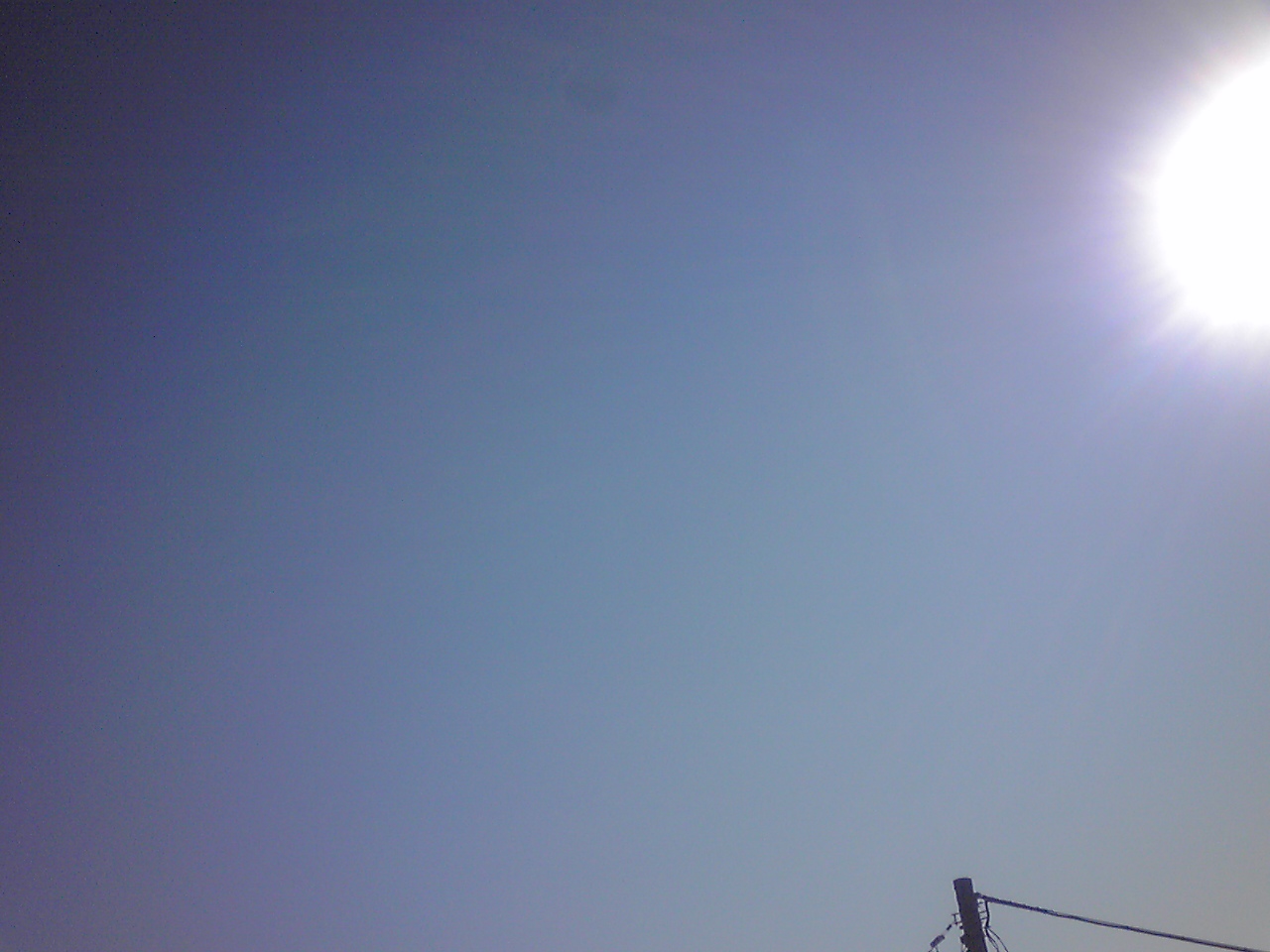 d0239796_9584925.jpg