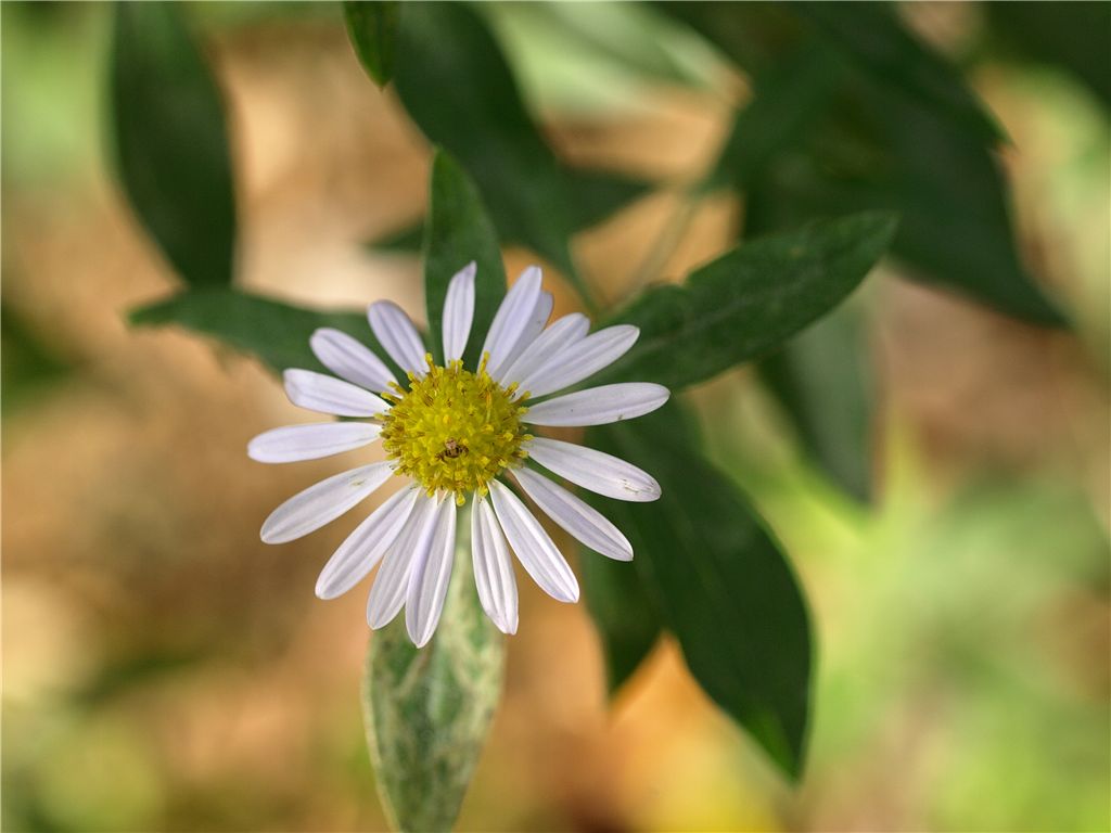 f0224100_20372686.jpg