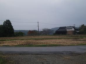d0240201_21575317.jpg