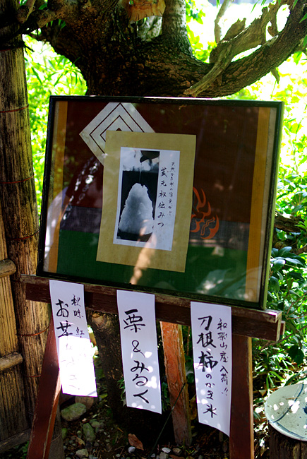 a0184303_9472949.jpg