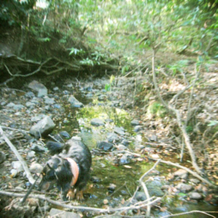 d0077603_2052068.jpg