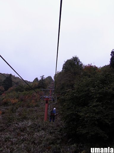 b0061004_4181942.jpg