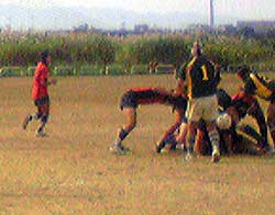 d0052404_1133684.jpg