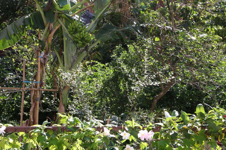 d0136804_5425276.jpg