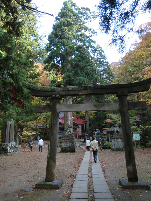 e0242504_6491719.jpg