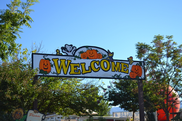 f0014009_12101369.jpg