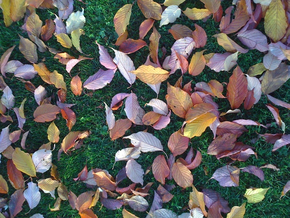 e0247410_11185417.jpg