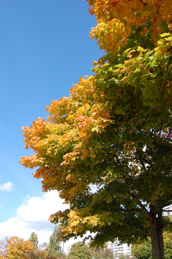 e0247410_12501644.jpg