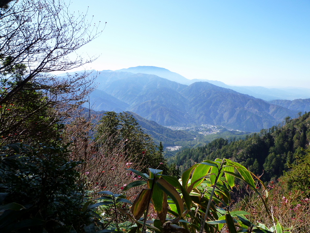 d0170615_10195483.jpg