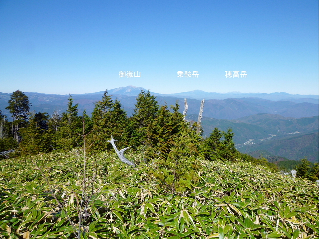 d0170615_10215594.jpg