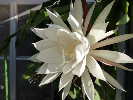 c0042418_8581857.jpg