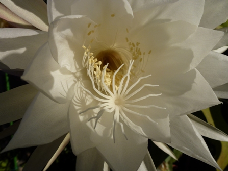 c0042418_8582966.jpg