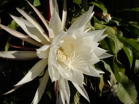 c0042418_859569.jpg