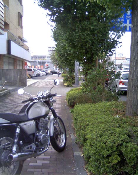 c0083518_1311161.jpg