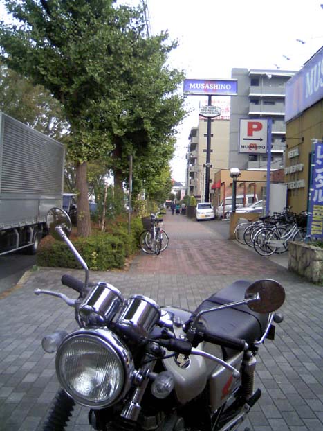 c0083518_1311280.jpg