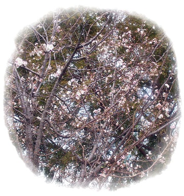 a0053420_2202135.jpg