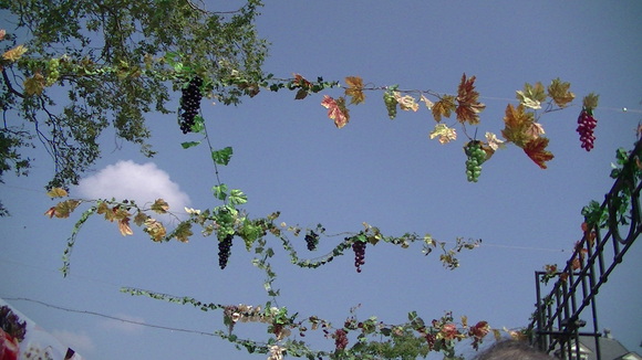c0059521_8171817.jpg