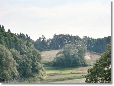 f0182121_12281213.jpg