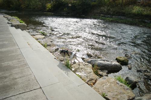 c0198524_9471543.jpg