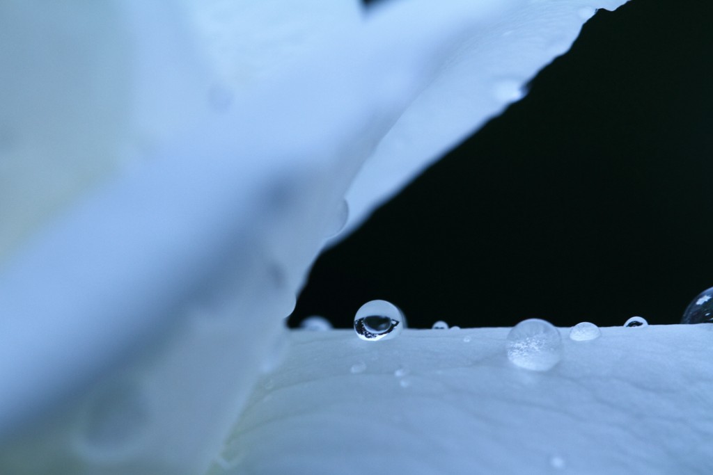 b0129829_21413135.jpg