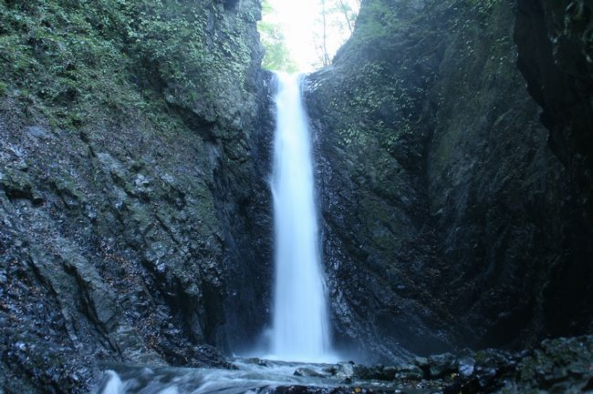 e0033229_221964.jpg