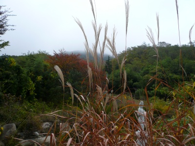 b0132630_2159349.jpg