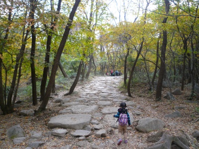 b0132630_2243497.jpg