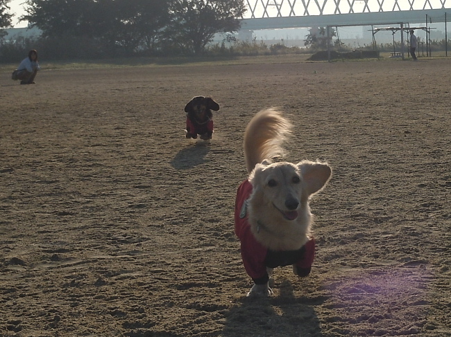 c0117831_10332382.jpg