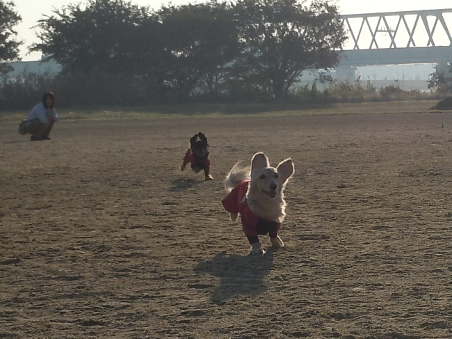 c0117831_1033997.jpg