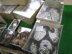 c0134734_2271782.jpg